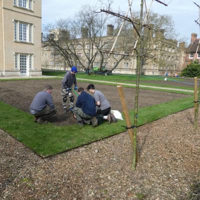 The Gardens team sow the new mini wildflower meadow 