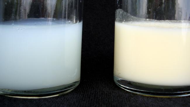 Image of Glasses of milk