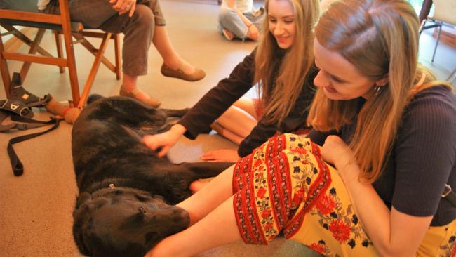 Image of Two students sitting on the floor with a Labrador