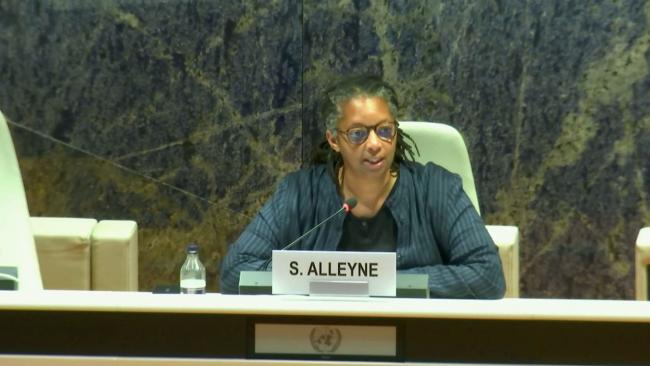 Image of Sonita Alleyne speaking at the UN this week
