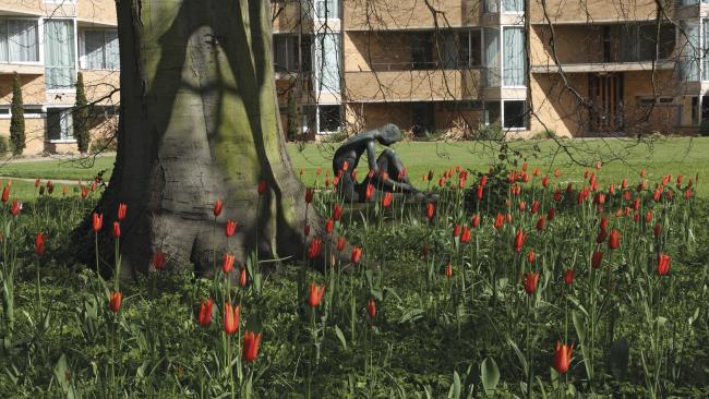 Image of Evelyn Herring sculpture "Mortal Man" with tulips and North Court