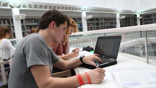 Image of Students working in the Library