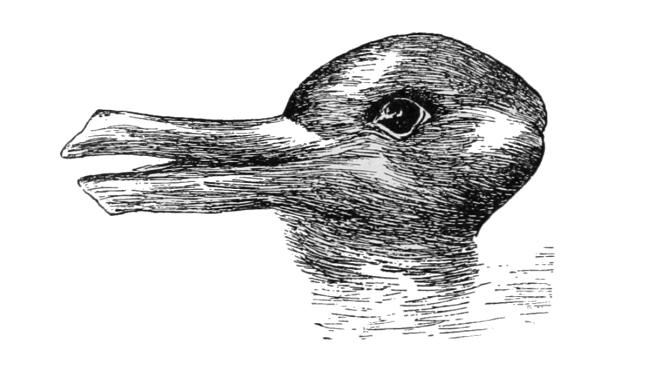 Image of Optical illusion of a duck or a rabbit head
