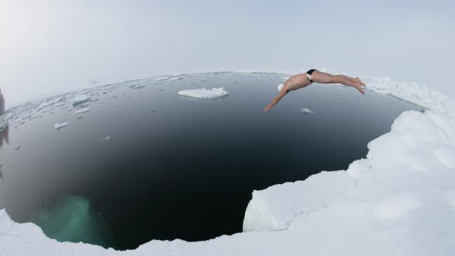 Lewis Pugh diving off ice into Arctic waters 
