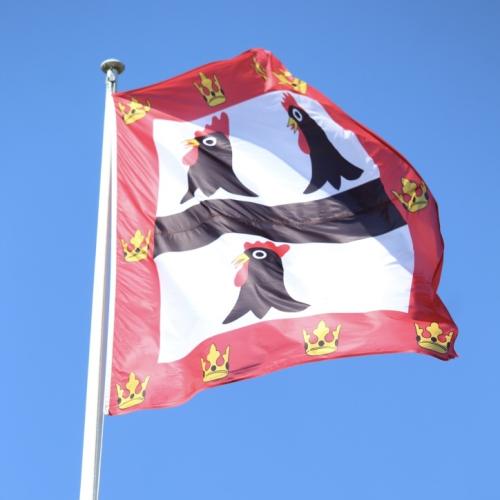 Image of College Flag