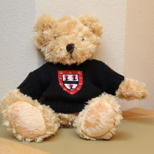 Image of Teddybear